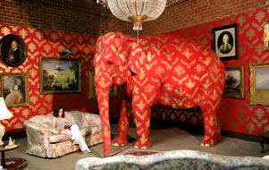 słoń w salonie